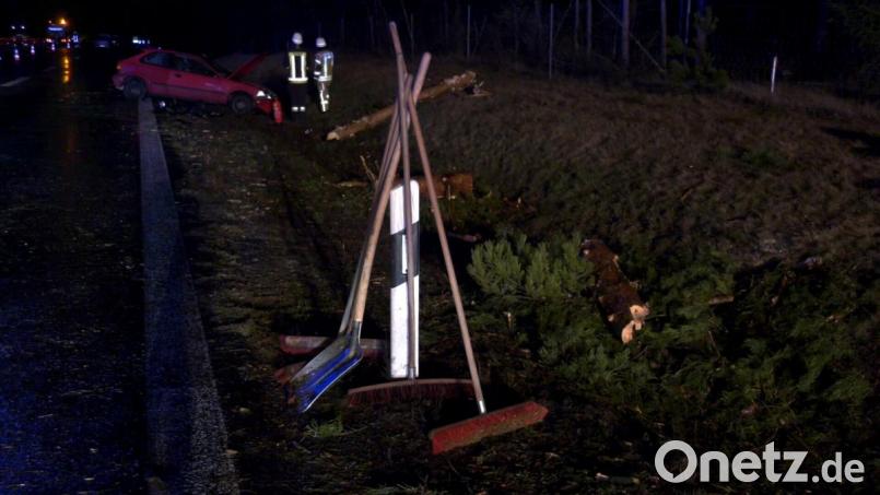 Aufräumarbeiten auf der A93 auf Höhe der Rastanlage Waldnaabtal-West: Der Sturm ließ am Montagabend einen Baum auf die Fahrbahn stürzen. Bild: pwrl