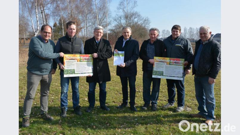 Die Stadt Mitterteich und mehrere Landwirte werben um Patenschaften für neue Blühflächen an den Ortsrändern. Im Bild (von links) Max Zintl, Helmut Grillmeier, Leitender Landwirtschaftsdirektor Wolfgang Wenisch, Bürgermeister Roland Grillmeier, Martin Härtl, Matthias Burger und Theo Dietz. Bild: jr