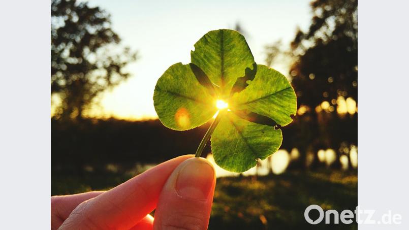 Wissenschaftler der Universität Köln haben in einer Studie herausgefunden: Wer an Glücksbringer glaubt, dem helfen diese tatsächlich. Bild: chambo4ka – stock.adobe.com