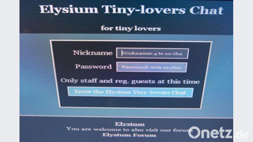 Die Login-Seite der Kinderpornografie-Plattform "Elysium" ist zu sehen. Foto: Arne Dedert/Archiv Bild: Arne Dedert