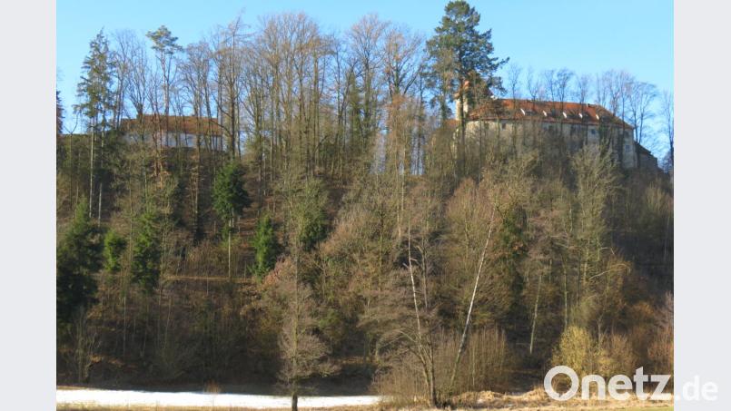 Die Burg wird wieder besser in den Blickpunkt rücken: Nicht zuletzt aus Sicherheitsgründen werden die Douglasien entlang der Graf-Schall-Straße entfernt. Bild: kö