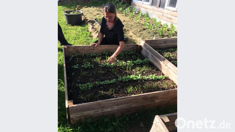 Gärtnermeisterin Tanja Götz zeigt in ihrem Vortrag zum ökologischen Gemüseanbau im Garten, wie man anfängt und bietet Tipps rund um die Anzucht, Anlage von Hochbeeten, Pflanzenschutz und mehr. Bild: Barbara Ströll, Öko-Modellregion