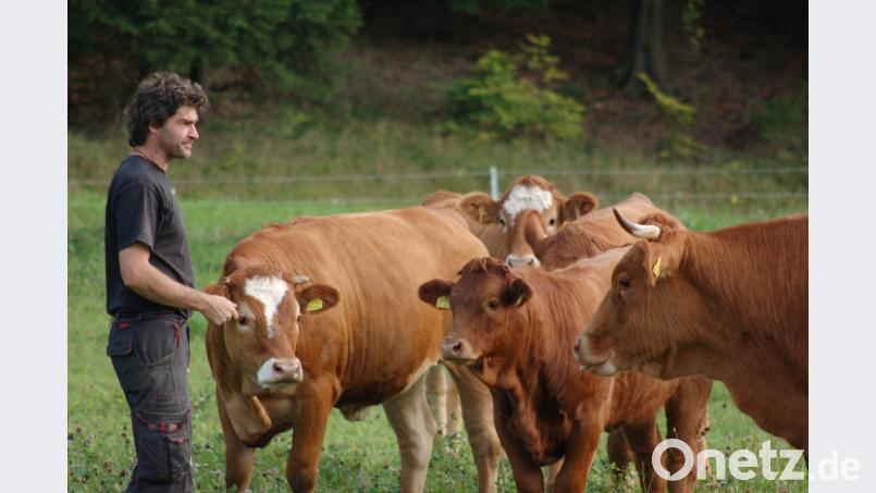 Biobauer und – Metzger Klaus Hofmann beweidet mit seiner Mutterkuhherde die Landschaft rund um Etzelwang. Bild: Barbara Ströll, Öko-Modellregion