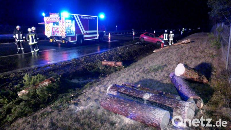 Weil ein Baum auf die A93 gestürzt war, war die Autobahn in Fahrtrichtung Regensburg zwei Stunden gesperrt. Bild: rw