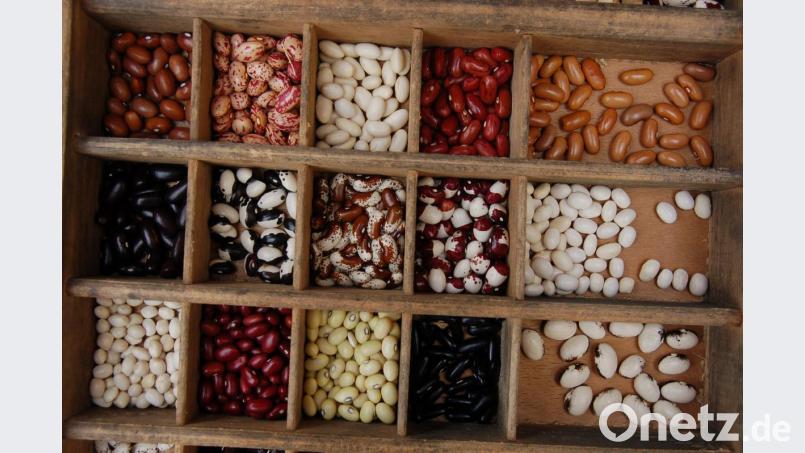 Vom Orient bis zum Okzident wird die bunte Vielfalt der Hülsenfrüchte geschätzt. Beim Kochkur der Öko-Modellregion werden interessante Rezepte ausprobiert und gekostet. Bild: Barbara Ströll, Öko-Modellregion