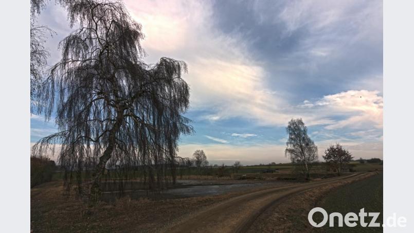 Nach der winterliches Trockenlegen und professionellen Bodenbearbeitung werden die Oberpfälzer Teiche nun wieder für den Neubesatz vorbereitet. Bild: dtr