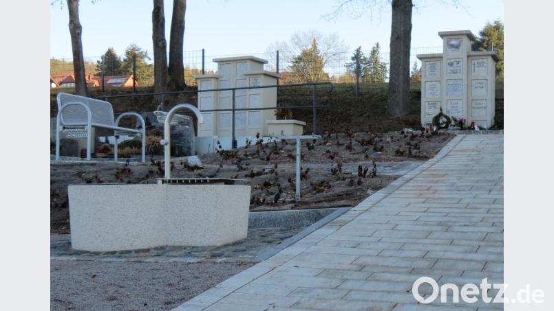 Weitere Wasserentnahmestellen wird es aus Kostengründen im Wernberger Friedhof nicht geben. Als Kompromiss werden Gießkannen-Transportwägen angeschafft. Bild: kö