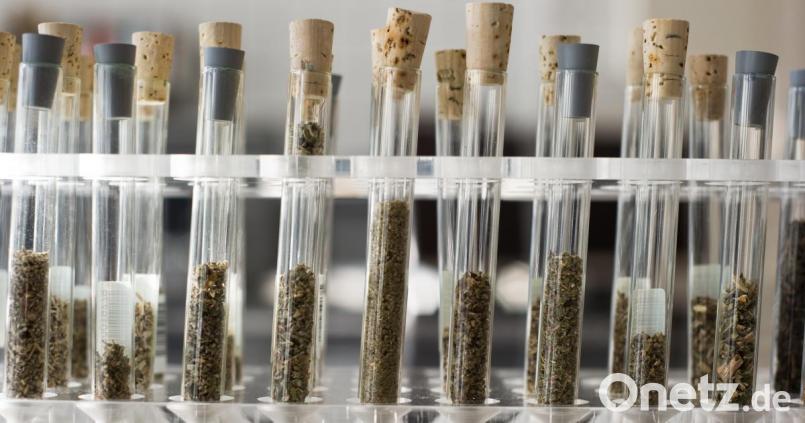 Reagenzgläser gefüllt mit „Neuen psychoaktiven Substanzen“ stehen im Labor des rheinland-pfälzischen Landeskriminalamtes. Nun ist Bayern der bundesweite größte Schlag gegen Händler derartiger Substanzen gelungen. Bild: Christoph Schmidt/dpa