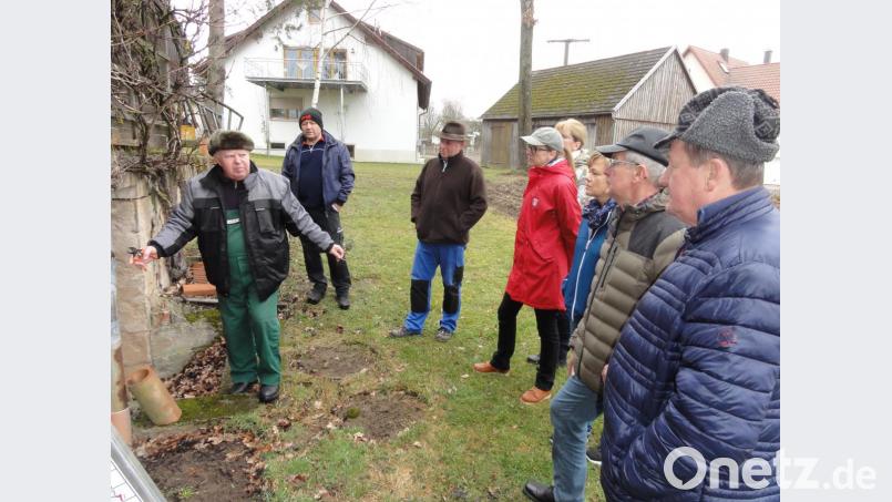 Michael Altmann (Zweiter von links) gibt bei den Schnittarbeiten am Weinstock der Familie Sollner in Münchsreuth wichtige Tipps zu Stockaufbau, Erziehung, Zapfenschnitt und Pflege. Bild: jhö