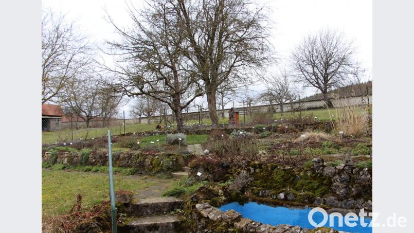 Noch befindet er sich im Winterschlaf. Aber bald werden viele helfende Hände benötigt, um den Gartenbauverein Schmidtstadt und Umgebung zu unterstützen bei der Absicht, dem Kräutergarten am Schloss Kirchenreinbach ein neues attraktives Gesicht zu verschaffen. Bild: ds