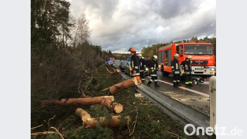Bäume stürzten auf die Autobahn A 93 zwischen Weiden-West und Frauenricht. Bild: Gustl Beer