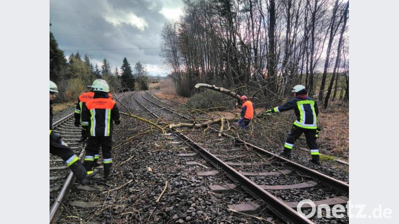 Die Feuerwehr räumt die Bahnstrecke von Marktredwitz in Richtung Nürnberg frei. Bild: Feuerwehr Neusorg