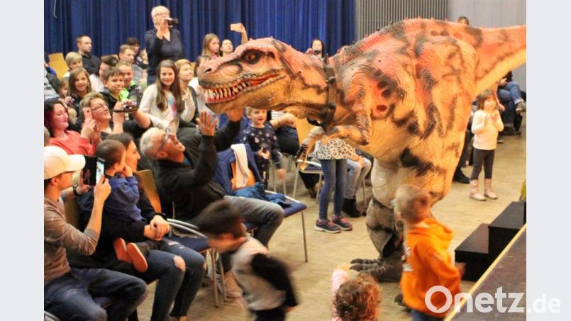 Auch Scharfzahn ist mit von der Partie. Manchmal will er knuddeln, aber bei den Erwachsenen ist dieser eherangriffslustig. Bild: Dagmar Williamson, dwi