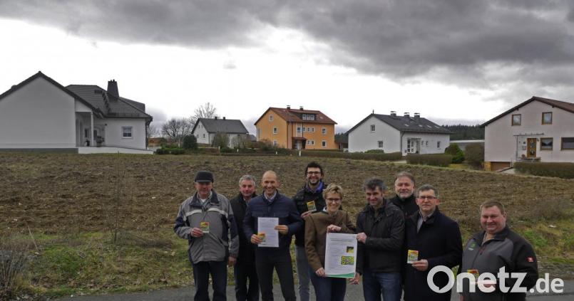 Direkt am Ortsrand liegt das Areal, das im Sommer eine bunte Blumenwiese sein könnte. Das Bild zeigt von links: Hans Vogel, stellvertretenden BBV-Kreisobmann Martin Härtl , Ely Eibisch, Tobias Vogel, Vorsitzender vom Ring junger Landwirte Kemnath, Marion Höcht Geschäftsführerin Maschinenring, stellvertretender BBV-Geschäftsführer Matthias Wittmann, Ulrich Härtl, BBV-Geschäftsführer, Hans Enslein Vorsitzender Maschinenring Tirschenreuth und Markus Üblmesser Mitglied im Kreisvorstand des BBV und Vorsitzender Arbeitskreis Landwirtschaft der CSU, Bild: tr