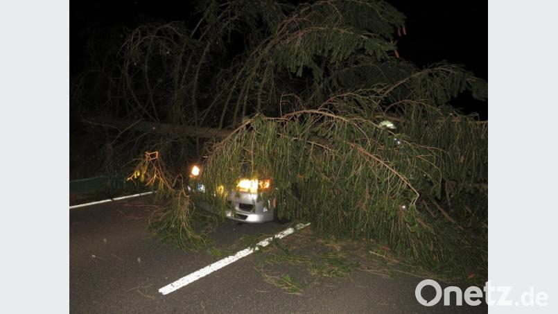Auf der Kreisstraße zwischen Neustadt und Theisseil stürzte ein Baum auf ein fahrendes Auto. Die Feuerwehr musste den Fahrer befreien. Er blieb gottlob unverletzt. Weil die Gefahr bestand, dass weitere Bäume fallen, konnte die Feuerwehr das Fahrzeug nicht bergen. Die Straße blieb für unbestimmte Zeit gesperrt. Bild: adj
