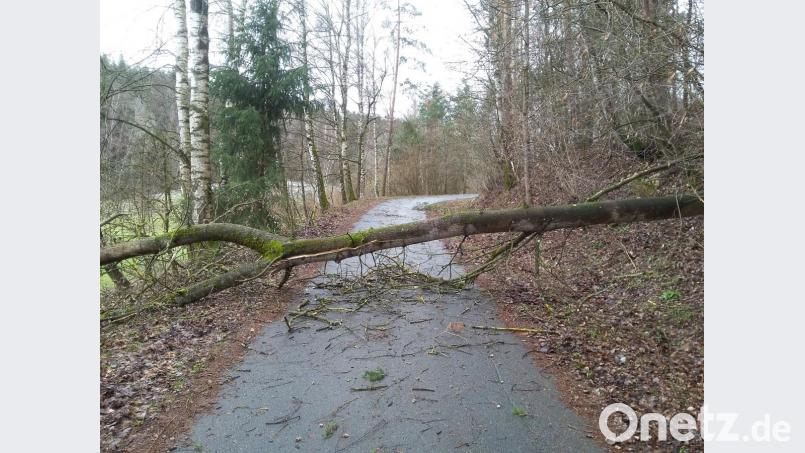 Meist waren es umgestürzte Bäume wie hier auf einer Nebenstraße bei Gleiritsch, die für Behinderungen sorgten. Bild: bl