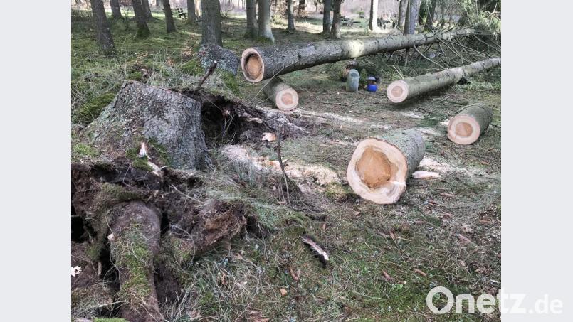 In Sulzbach-Rosenberg hat sich de Sturm im Waldfriedhof ausgetobt. Bild: Petra Hartl