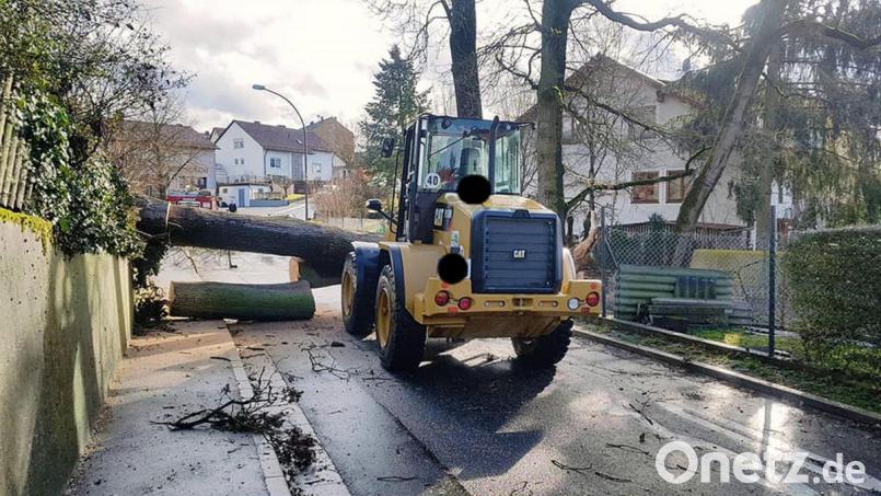 Die meisten Sturmschäden im Landkreis Amberg-Sulzbach: umgestürzte Bäume. Bild: Feuerwehr Schlicht