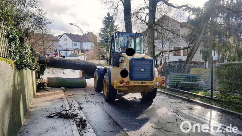 Das große Aufräumen nach Sturmtief&quot;Eberhard&quot; Bild: Feuerwehr Schlicht