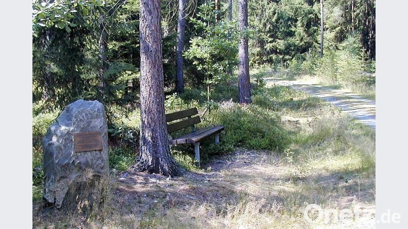Im Bürgerwald steht ein Gedenkstein für Karl IV.. Nachgewiesen ist, dass der kleine Ort im Zusammenhang mit dem Erwerb Parksteins zur Böhmischen Krone kam. Archivbild: cr