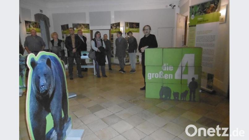 Museumsleiter Michael Ritz (rechts) hat zum Saisonauftakt im Theuerner Schloss ein brandaktuelles Thema aufgegriffen: Das Miteinander von Luchs, Bär, Wolf und Mensch ist Thema einer Ausstellung. Bild: e