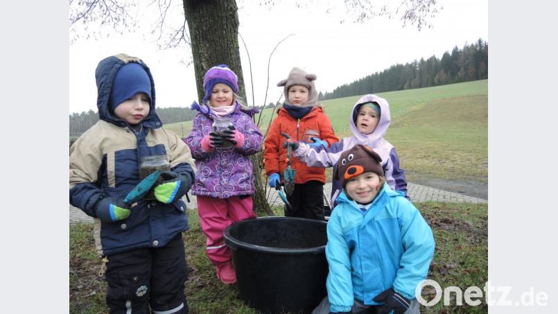 In Gläsern beobachten die Mädchen und Buben die Regenwürmer, die sie aus der Erde ausgegraben haben. Bild: hl