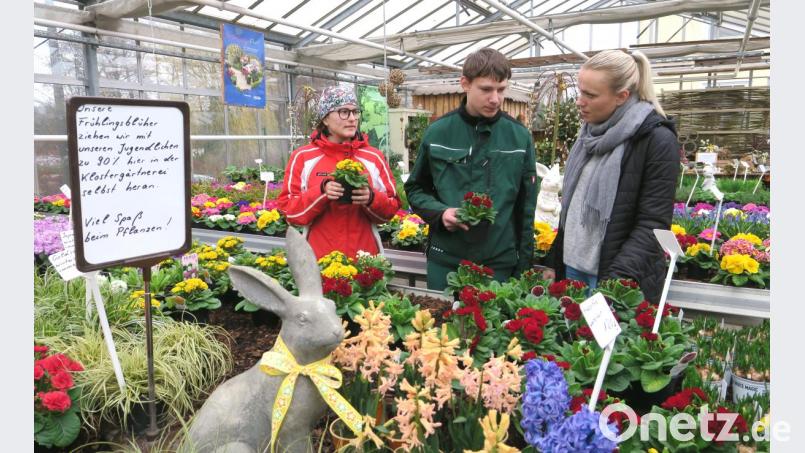 Haus des Guten Hirten Bild: Hirsch