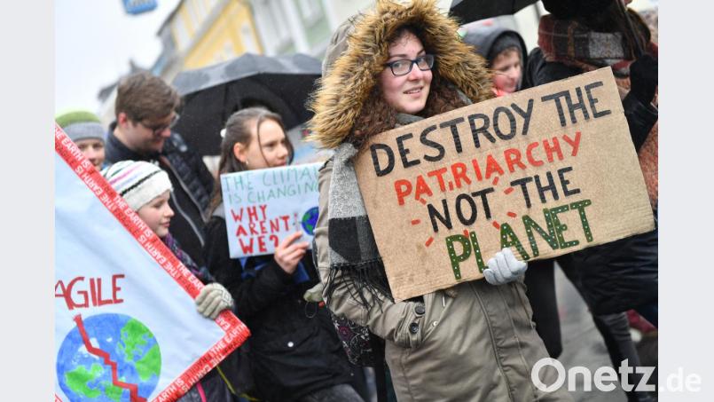 Mit Plakaten zogen am Freitag rund 200 Jugendliche und auch einige Erwachsene durch Marktredwitz, um für Klimaschutz zu demonstrieren. Bild: Miedl