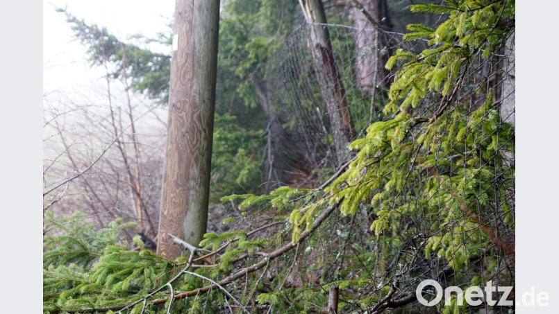 Eingewachsen, verrostet und schlecht sichtbar ist der Maschendraht entlang des Schlepplifts zu einem Wald. Wild bleibt darin hängen. Längst müsste er entfernt werden. Bild: bkr