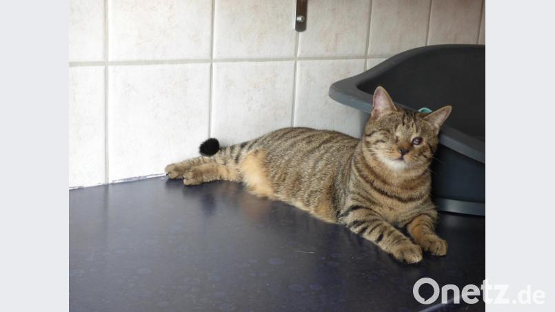 Momo ist im Juli 2017 geboren. Bild: exb