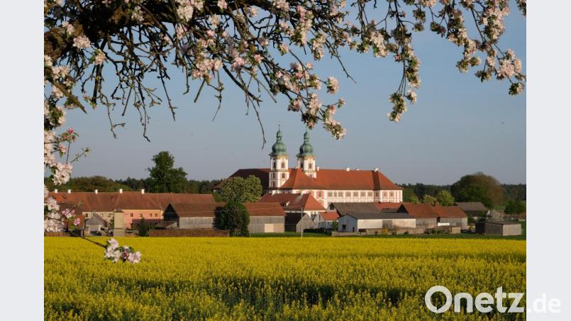 Der Speinsharter Frühling soll auch in die Homepage der Gemeinde Einzug halten. Bild: do