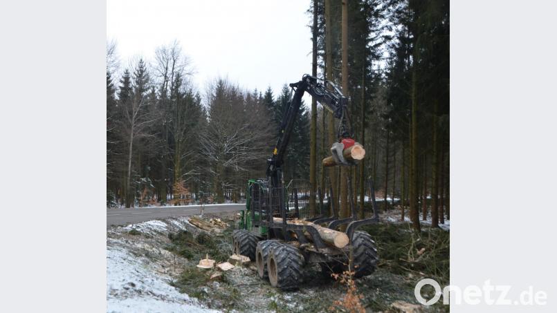 Die Holzernte bringt nicht mehr die von den Waldbauern gewünschten Erträge. Bild: dob