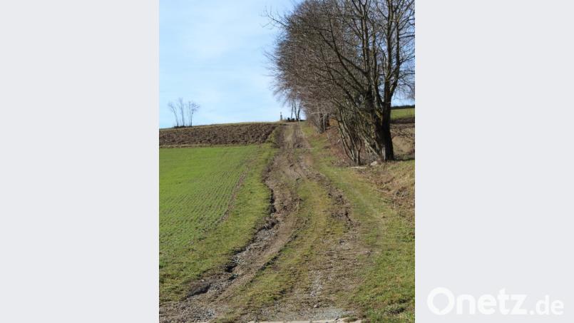 Der Lärchenweg zwischen Friedhof und Hermannsreuth soll von der Jagdgenossenschaft hergerichtet werden. Bild: soj