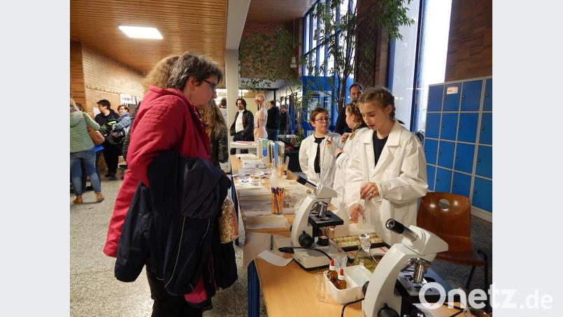 Jugend forscht: Gerne präsentieren die Schüler, mit was sie sich im Unterricht beschäftigen. Bild: exb