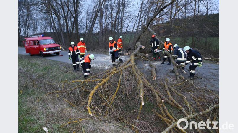 Die Feuerwehren Krondorf und Richt rückten am Sonntag aus, um einen Baum von der Verbindungsstraße bei Irlaching-Siedlung zu entfernen. Bild: Hösamer