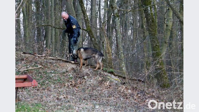 Die Polizei sucht nahe Wolfsegg im Landkreis Regensburg einen 28-jährigen Mann, der nach einer Körperverletzung mit der Androhung weiterer Straftaten, flüchtete. Bild: Alexander Auer