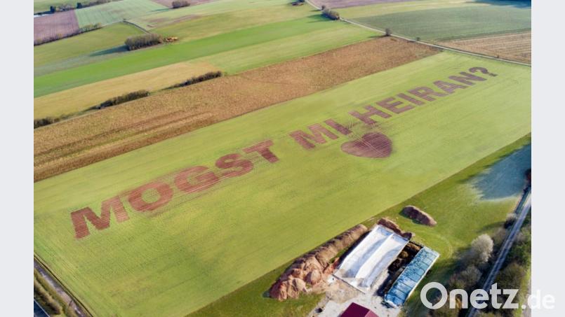 Wie gedruckt: &quot;Mogst mi heiran?&quot; steht auf dem Feld bei Kümmersbuch (Gemeinde Hahnbach). Bild: Thilo Hierstätter