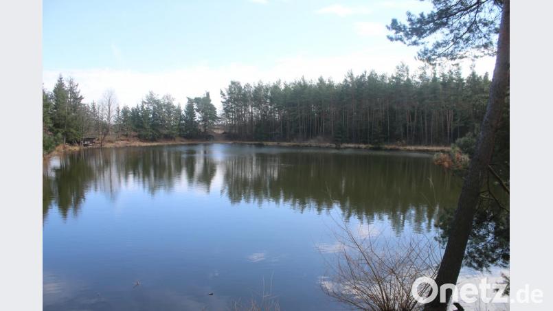 Der Wald bei Dießfurt soll einem weiteren Kies-Abbaugebiet weichen. Bild: sne