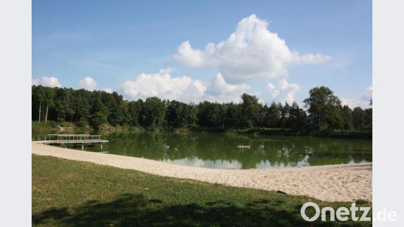 Der Schwarzenfelder Jugendbeirat hätte gerne, dass man auch am Forsterweiher in einem W-Lan-Netz kostenfrei surfen kann, wenn man sich dort aufhält. Doch das ist technisch gar nicht so einfach, wie sich zeigte. Bild: Thomas Dobler