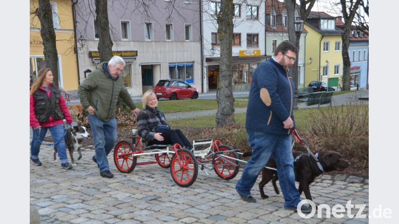 Damit hätte Kreisbäuerin Josefine Kick bestimmt nicht gerechnet, dass sie am Josefitag gleich einen Logenplatz zugewiesen bekommt. Bild: dob