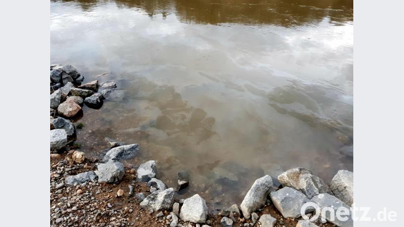 Ein Ölfilm auf der Donau sorgte in der Nacht auf Dienstag für einen Feuerwehreinsatz mit mehreren Booten. Als Ursache konnte eine Heizöl-Leckage eines Anwesen bei Sinzing ausgemacht werden. Bild: Alexander Auer
