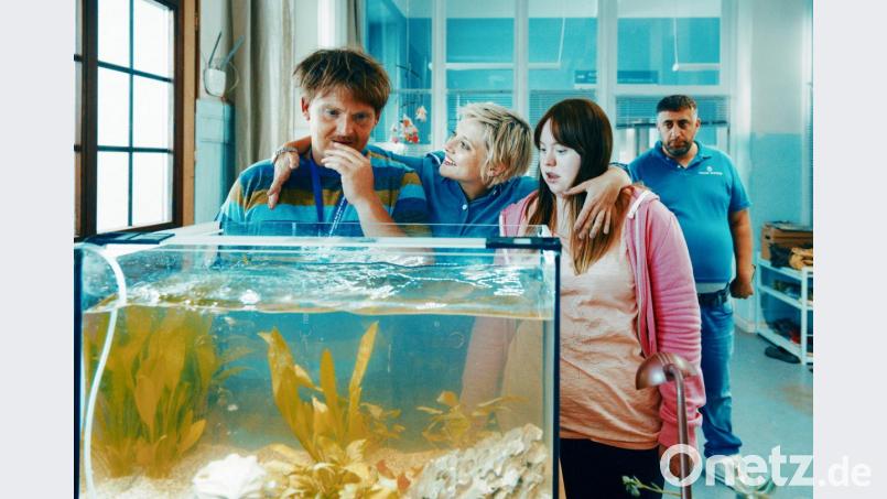 Axel Stein als Rainman, Jella Haase als Laura, Luisa Wöllisch als Franzi und Kida Khodr Ramadan als Eddy (von links) in "Die Goldfische". Bild:  Sony Pictures/dpa