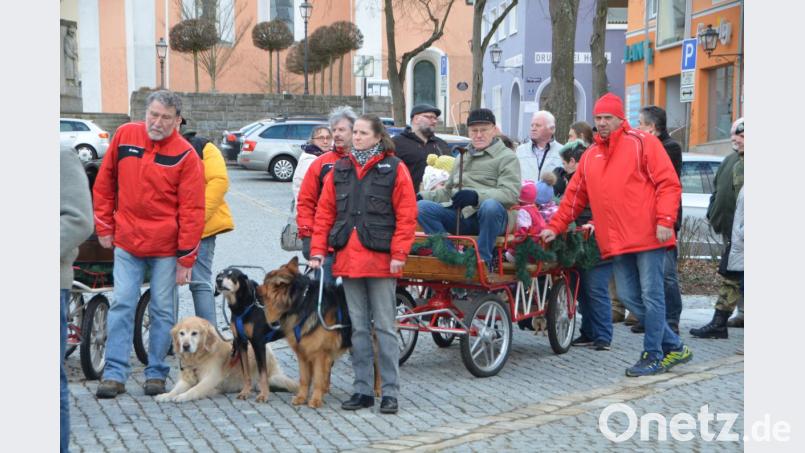 Der Josefiumzug kam heuer bestens an. Die Hunde warten nur noch auf das Kommando zum Start. Bild: dob