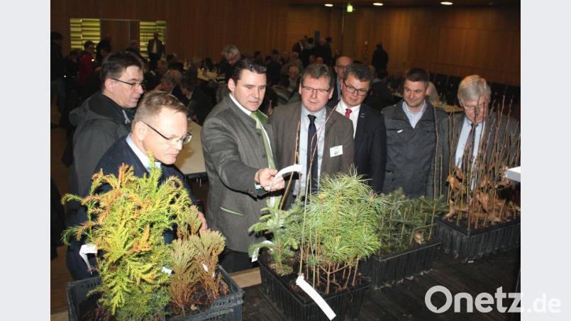 Auch Landrat Thomas Ebeling und Bürgermeister Martin Birner ließen sich von Vorstand Martin Prey (Bildmitte) über die neuen Baumarten informieren. Rechts Leitender Landwirtschaftsdirektor Georg Mayer. Bild: lg
