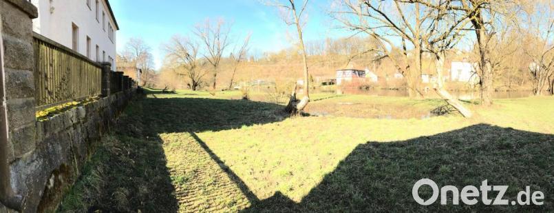 Etwa 1,80 Meter hoch, also 20 Zentimeter niedriger als die Gartenmauer samt Zaun von Dr. Reinhard Trottmann würde die geplante Hochwasserschutzmauer an der Waldnaab. Sie würde auf 700 Metern Länge direkt entlang der bebauten Grundstücke verlaufen. Bild: Gabi Schönberger