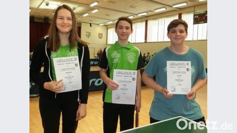 Erfolgreich schnitten die Stullner Starter beim Qualifikationsturnier in Nabburg ab. Bild: exb