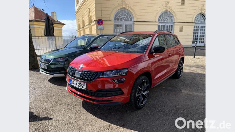 Skoda Bild: Michael Ascherl