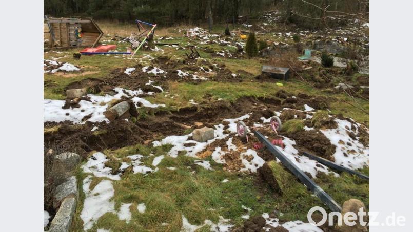 Der Garten nach der Baggeraktion. Bild: ca