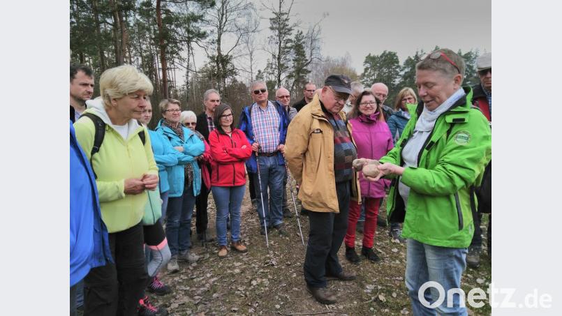 Geowissenschaftlerin Angela Wirsing zeigt den Teilnehmern an der Wanderung interessante Gesteine. Bild: mma