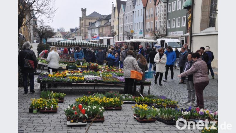 Beim Stand eines Gärtners macht der Frühlingsmarkt seinem Namen alle Ehre. Bild: ak